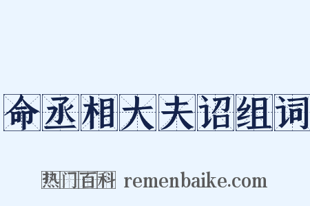 命丞相大夫诏组词是什么意思的图片